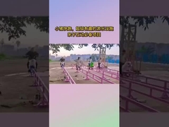 Área escénica Equipo de diversión sin energía, Internet Celebridad Pequeño Cerdo Correr Parque de diversiones Childr