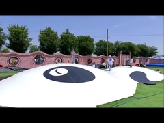 Cama elástica inflable Panda Jumping Cloud para parques infantiles interiores