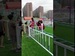 Auto de interacción padre-hijo